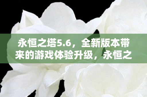永恒之塔5.6，全新版本带来的游戏体验升级，永恒之塔5.6，全新版本带来游戏体验升级