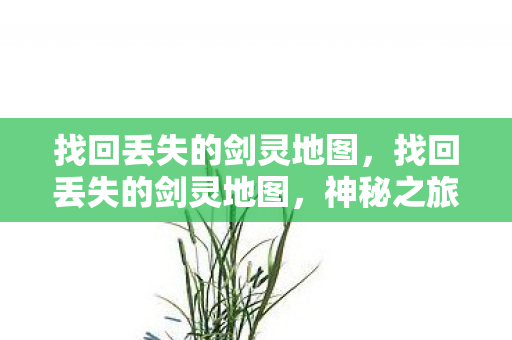 找回丢失的剑灵地图，找回丢失的剑灵地图，神秘之旅启程
