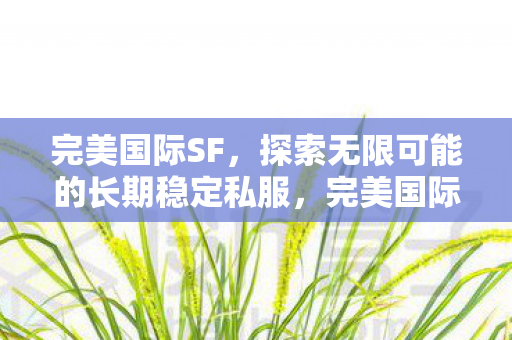 完美国际SF，探索无限可能的长期稳定私服，完美国际SF，探索无限可能的长期稳定私服