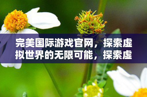 探索虚拟世界的无限可能图片
