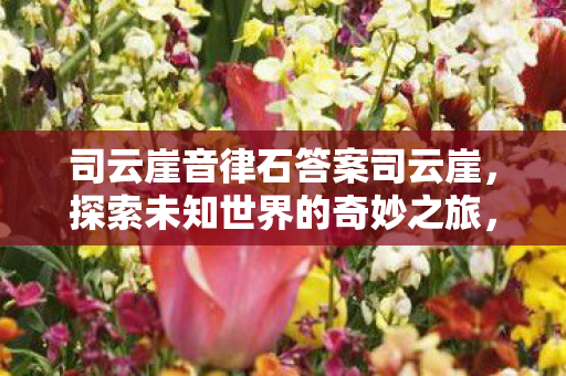 司云崖音律石答案司云崖，探索未知世界的奇妙之旅，探索司云崖，音律石答案与未知世界的奇妙之旅