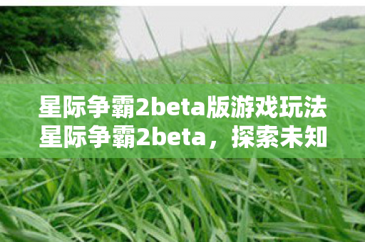 星际争霸2beta版游戏玩法星际争霸2beta，探索未知，挑战极限，星际争霸2beta版，探索未知，挑战极限