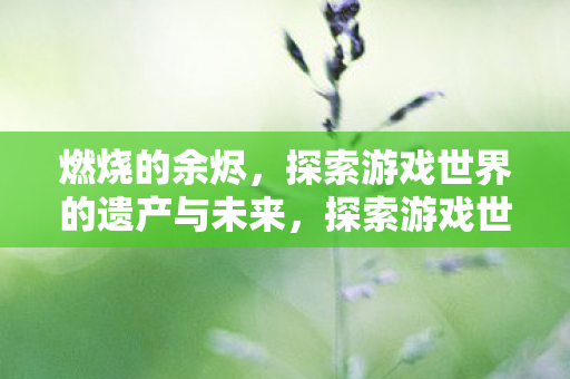 燃烧的余烬，探索游戏世界的遗产与未来，探索游戏世界的遗产与未来，燃烧余烬中的启示
