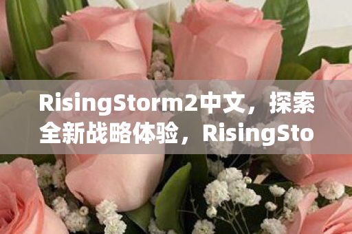RisingStorm2中文，探索全新战略体验，RisingStorm2中文战略体验全新升级