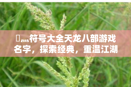 乄灬符号大全天龙八部游戏名字，探索经典，重温江湖，天龙八部经典符号名字大全，重温江湖之旅