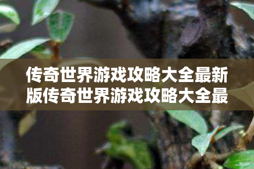 传奇世界游戏攻略大全最新版传奇世界游戏攻略大全最新图片