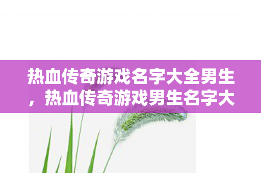 热血传奇游戏名字大全男生，热血传奇游戏男生名字大全
