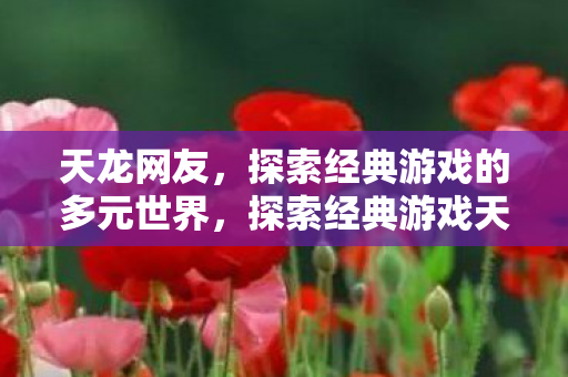 天龙网友,探索经典游戏的多元世界,探索经典游戏天龙八部的多元世界 天龙网友,探索经典游戏的多元世界,探索经典游戏天龙八部的多元世界