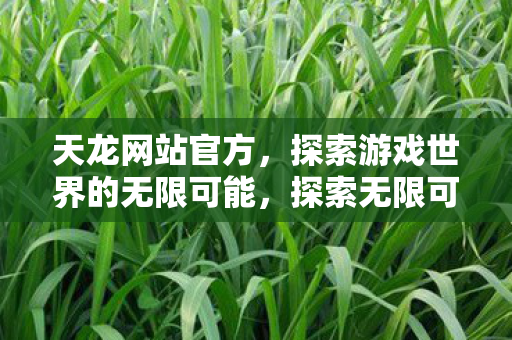 天龙网站官方，探索游戏世界的无限可能，探索无限可能，天龙网站官方带你领略游戏世界