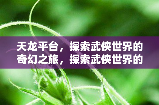 天龙平台，探索武侠世界的奇幻之旅，探索武侠世界的奇幻之旅，天龙平台