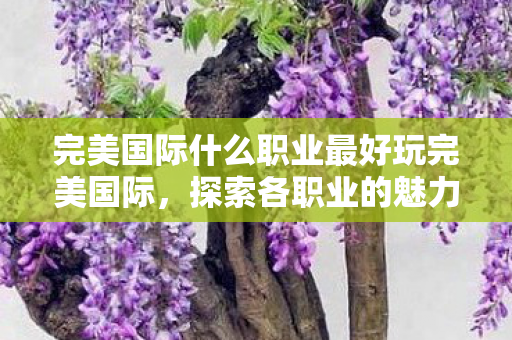 完美国际什么职业最好玩完美国际图片