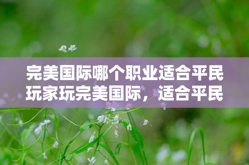 完美国际哪个职业适合平民玩家玩完美国际图片