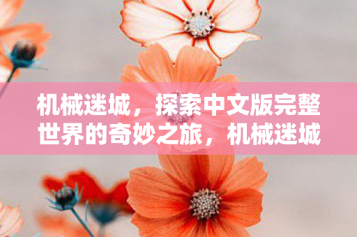 机械迷城，探索中文版完整世界的奇妙之旅，机械迷城，探索中文版完整世界的奇妙之旅