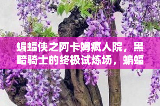 蝙蝠侠之阿卡姆疯人院，黑暗骑士的终极试炼场，蝙蝠侠之阿卡姆疯人院，黑暗骑士的终极试炼场