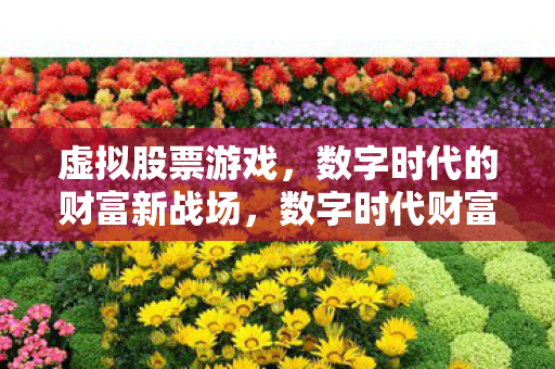 虚拟股票游戏，数字时代的财富新战场，数字时代财富新战场，虚拟股票游戏