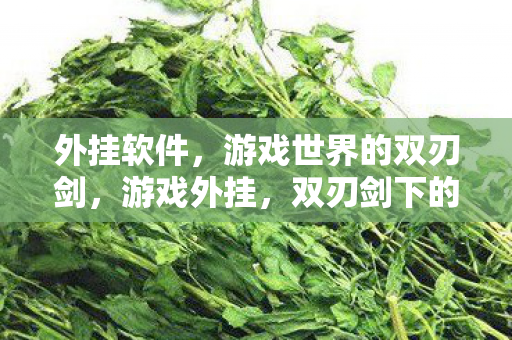 外挂软件，游戏世界的双刃剑，游戏外挂，双刃剑下的游戏世界