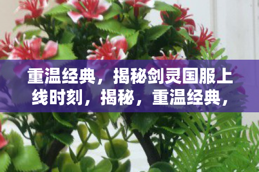 揭秘剑灵国服上线时刻图片