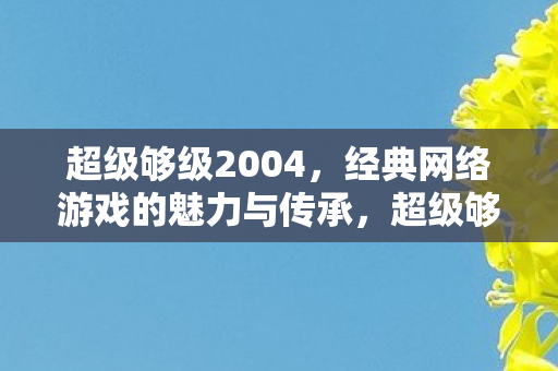 超级够级2004，经典网络游戏的魅力与传承，超级够级2004，经典网络游戏的魅力与传承