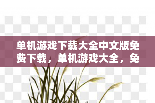 单机游戏下载大全中文版免费下载，单机游戏大全，免费下载中文版