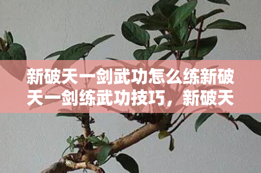 新破天一剑武功怎么练新破天一剑练武功技巧图片