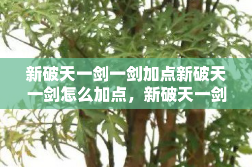 新破天一剑一剑加点新破天一剑怎么加点,新破天一剑加点攻略,如何正确分配技能点? 新破天一剑一剑加点新破天一剑怎么加点,新破天一剑加点攻略,如何正确分配技能点?