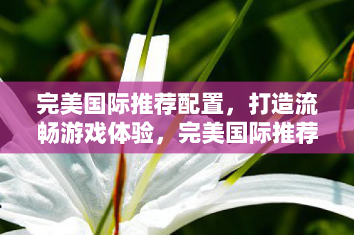 完美国际推荐配置，打造流畅游戏体验，完美国际推荐配置，打造流畅游戏体验