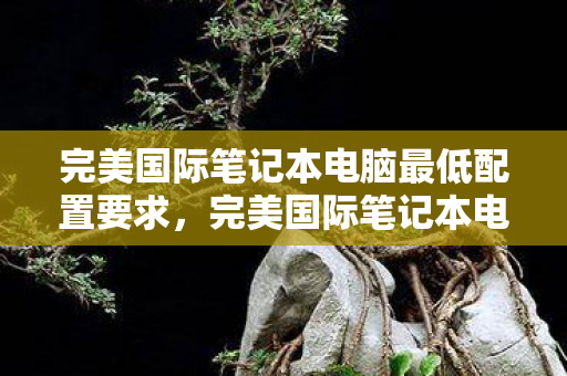 完美国际笔记本电脑最低配置要求，完美国际笔记本电脑最低配置要求公布