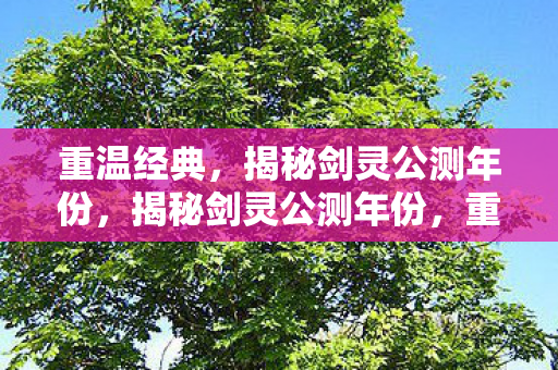 重温经典，揭秘剑灵公测年份，揭秘剑灵公测年份，重温经典，回忆初体验