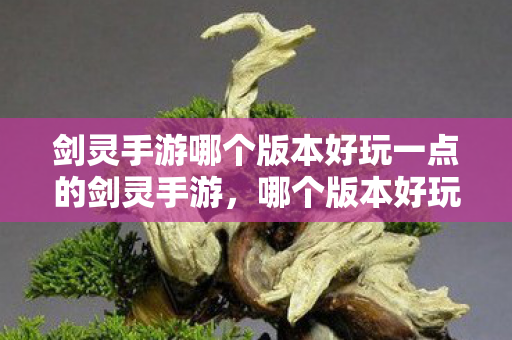 剑灵手游哪个版本好玩一点的剑灵手游,哪个版本好玩一点?剑灵手游哪个版本更好玩? 剑灵手游哪个版本好玩一点的剑灵手游,哪个版本好玩一点?剑灵手游哪个版本更好玩?