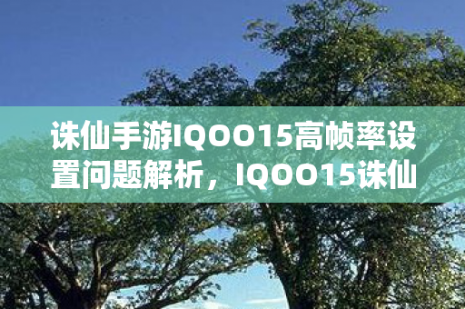 诛仙手游IQOO15高帧率设置问题解析,IQOO15诛仙手游高帧率设置问题全解析 诛仙手游IQOO15高帧率设置问题解析,IQOO15诛仙手游高帧率设置问题全解析
