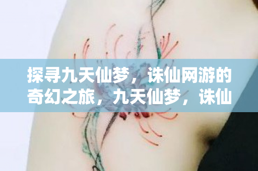探寻九天仙梦，诛仙网游的奇幻之旅，九天仙梦，诛仙网游的奇幻冒险之旅