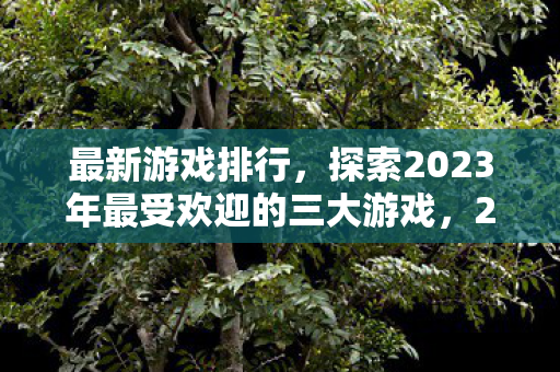最新游戏排行，探索2023年最受欢迎的三大游戏，2023年最受欢迎的三大游戏揭晓