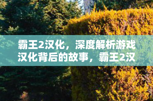 霸王2汉化，深度解析游戏汉化背后的故事，霸王2汉化，揭秘游戏汉化背后的故事与挑战