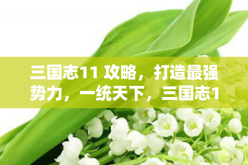 三国志11 攻略，打造最强势力，一统天下，三国志11，打造最强势力，一统天下攻略