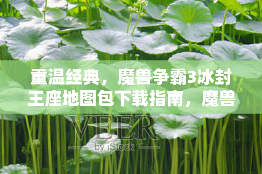 重温经典，魔兽争霸3冰封王座地图包下载指南，魔兽争霸3冰封王座地图包下载全攻略