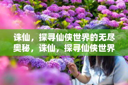 探寻仙侠世界的无尽奥秘图片