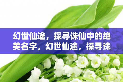 幻世仙途，探寻诛仙中的绝美名字，幻世仙途，探寻诛仙中的绝美名字