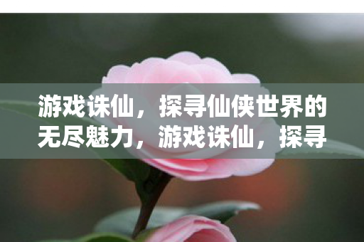 游戏诛仙，探寻仙侠世界的无尽魅力，游戏诛仙，探寻仙侠世界的无尽魅力