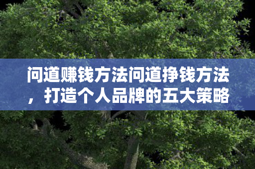 问道赚钱方法问道挣钱方法,打造个人品牌的五大策略,打造个人品牌的五大策略,问道赚钱方法 问道赚钱方法问道挣钱方法,打造个人品牌的五大策略,打造个人品牌的五大策略,问道赚钱方法