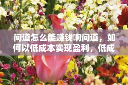 问道怎么能赚钱啊问道,如何以低成本实现盈利,低成本盈利,问道赚钱攻略 问道怎么能赚钱啊问道,如何以低成本实现盈利,低成本盈利,问道赚钱攻略