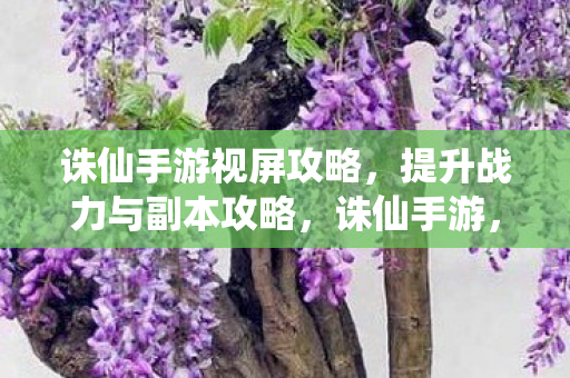 诛仙手游视屏攻略,提升战力与副本攻略,诛仙手游,提升战力与副本攻略 诛仙手游视屏攻略,提升战力与副本攻略,诛仙手游,提升战力与副本攻略