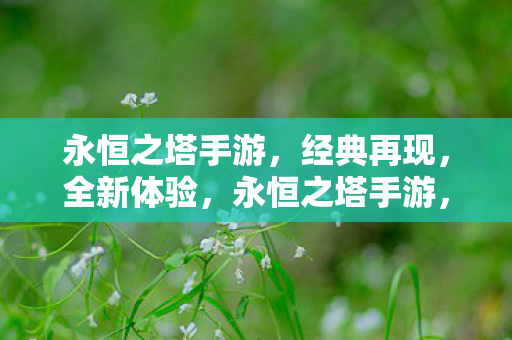 永恒之塔手游图片