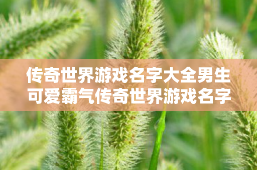 传奇世界游戏名字大全男生可爱霸气传奇世界游戏名字大全男生可爱,男生可爱霸气传奇世界游戏名字大全 传奇世界游戏名字大全男生可爱霸气传奇世界游戏名字大全男生可爱,男生可爱霸气传奇世界游戏名字大全
