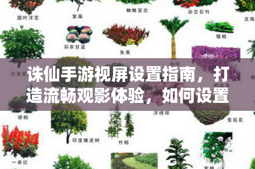 诛仙手游视屏设置指南图片