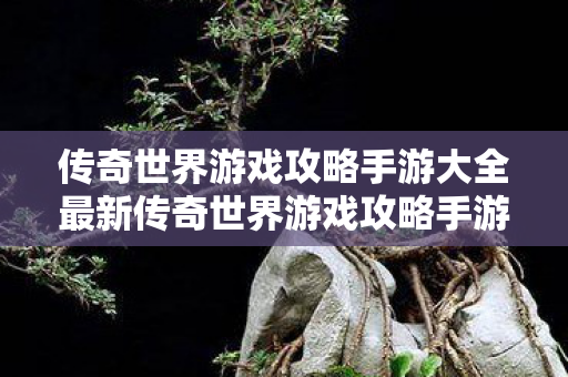 传奇世界游戏攻略手游大全最新传奇世界游戏攻略手游大全图片