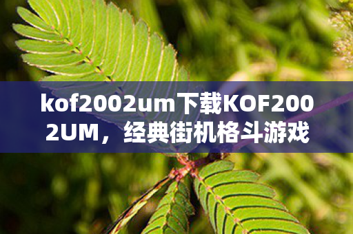 kof2002um下载KOF2002UM，经典街机格斗游戏的传奇再现，KOF2002UM，经典街机格斗游戏传奇再现下载