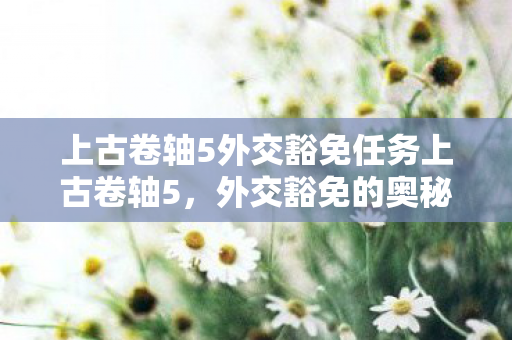 上古卷轴5外交豁免任务上古卷轴5，外交豁免的奥秘与策略，上古卷轴5外交豁免任务，策略与奥秘全解析