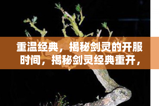 揭秘剑灵的开服时间图片