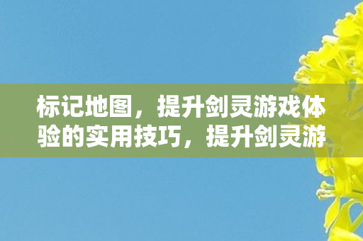 标记地图，提升剑灵游戏体验的实用技巧，提升剑灵游戏体验，实用技巧助你标记地图