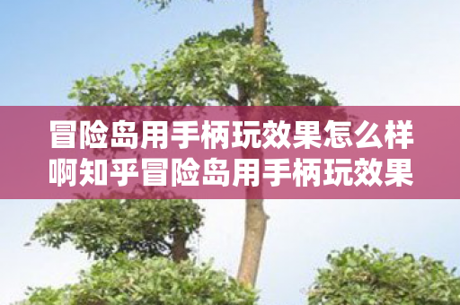 冒险岛用手柄玩效果怎么样啊知乎冒险岛用手柄玩效果怎么样啊图片